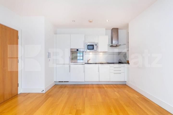 Bright One Bedroom Apartment with Modern Finish in the Heart of E8 Kingsland Passage, Dalston