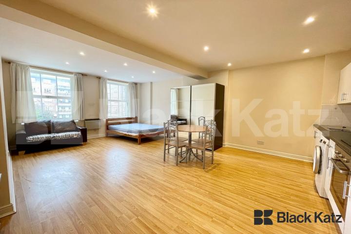 Flooded with natural light extremely large open plan studio  Marshalsea Road, Borough