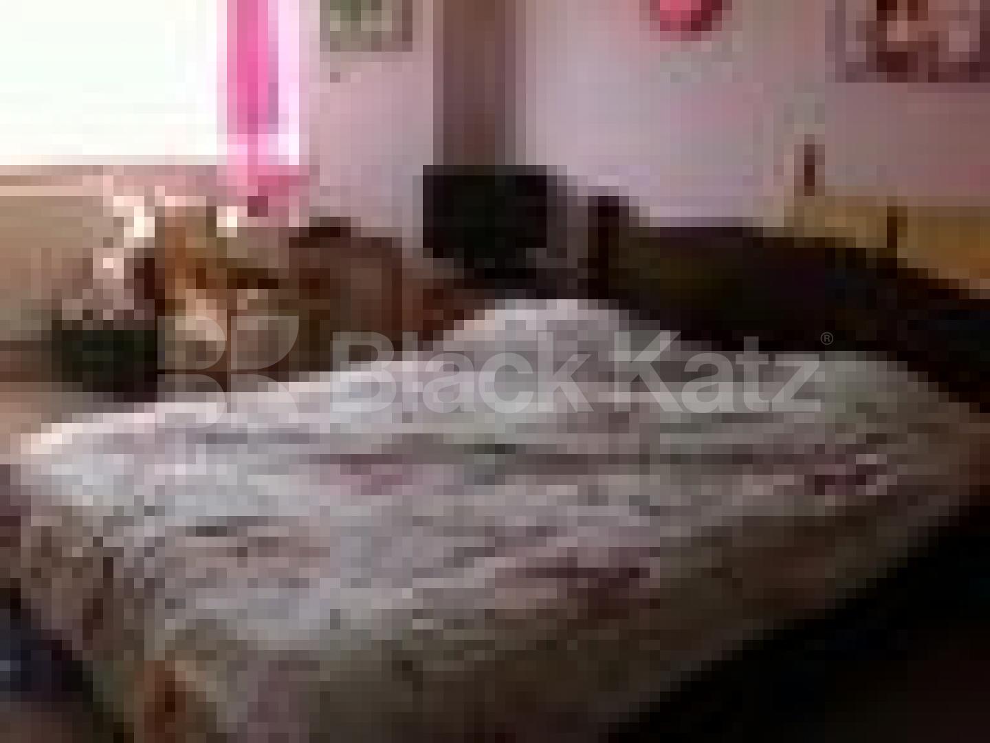 			NEW INSTRUCTION!, 5 Bedroom, 1 bath, 1 reception House			 Hermiston Avenue, CROUCH END