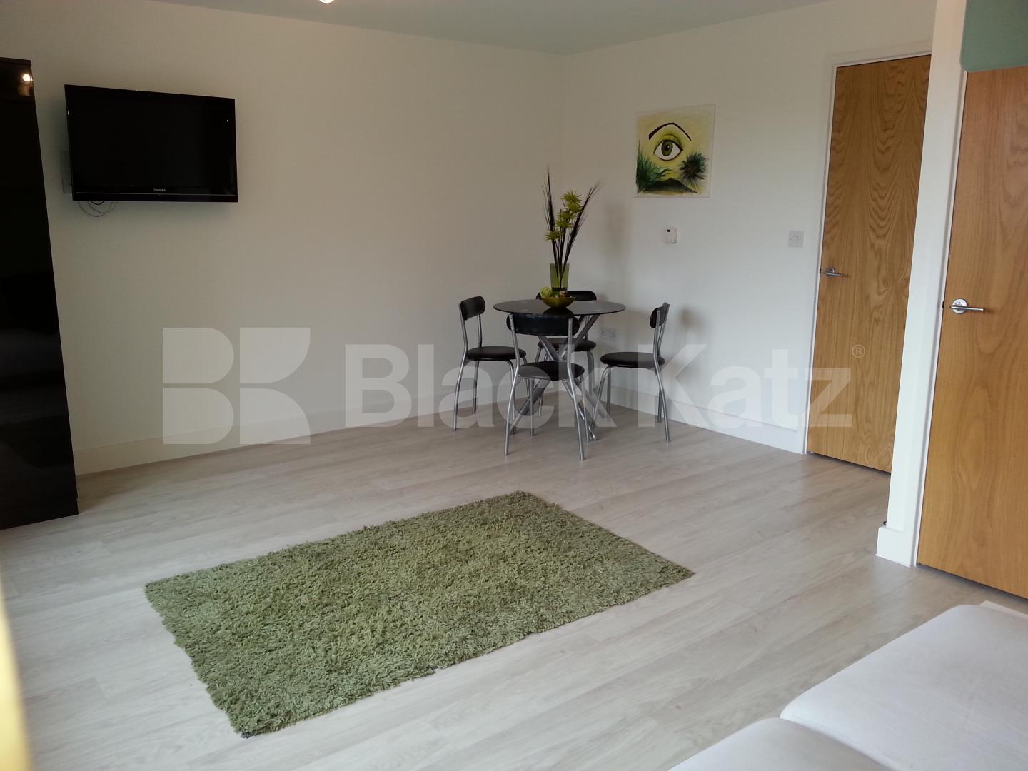 			NEW INSTRUCTION!, Studio Apartment, 1 bath, 1 reception Studio			 Mildmay Avenue , NEWINGTON GREEN