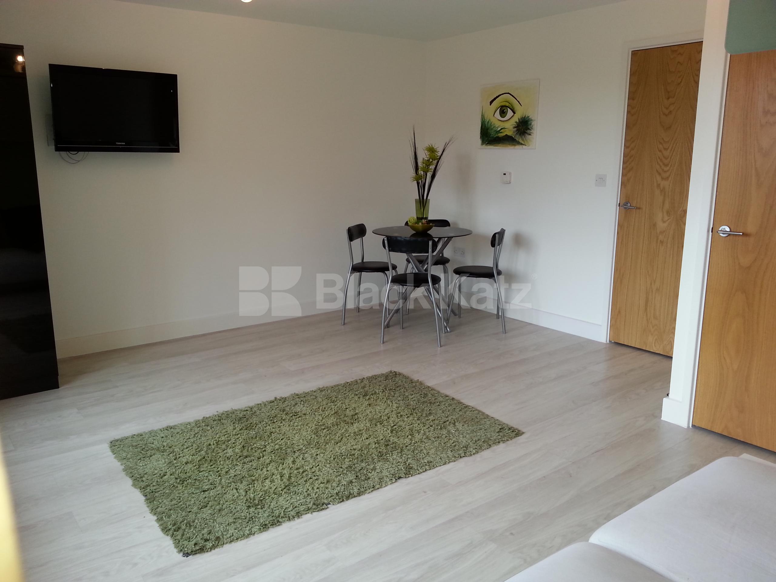 			NEW INSTRUCTION!, Studio Apartment, 1 bath, 1 reception Studio			 Mildmay Avenue , NEWINGTON GREEN N1