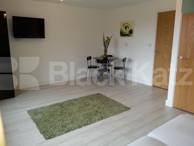 			NEW INSTRUCTION!, Studio Apartment, 1 bath, 1 reception Studio			 Mildmay Avenue , NEWINGTON GREEN