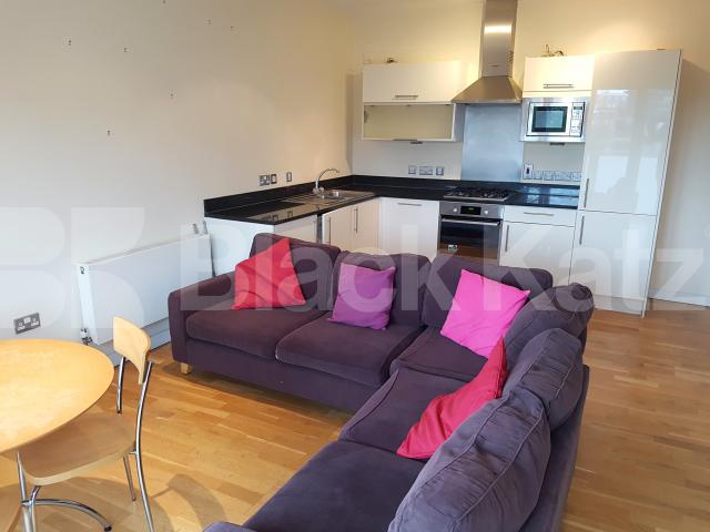 			NEW INSTRUCTION, 2 Bedroom, 1 bath, 1 reception Apartment			 Tower Bridge Road, London Bridge