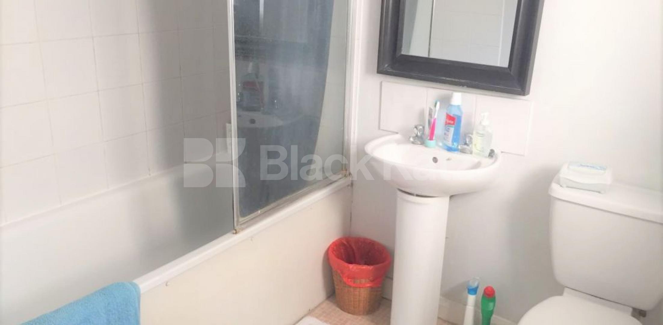 			NEW, 1 Bedroom, 1 bath, 1 reception Flat			 Windus Road, STOKE NEWINGTON-STAMFORD HILL