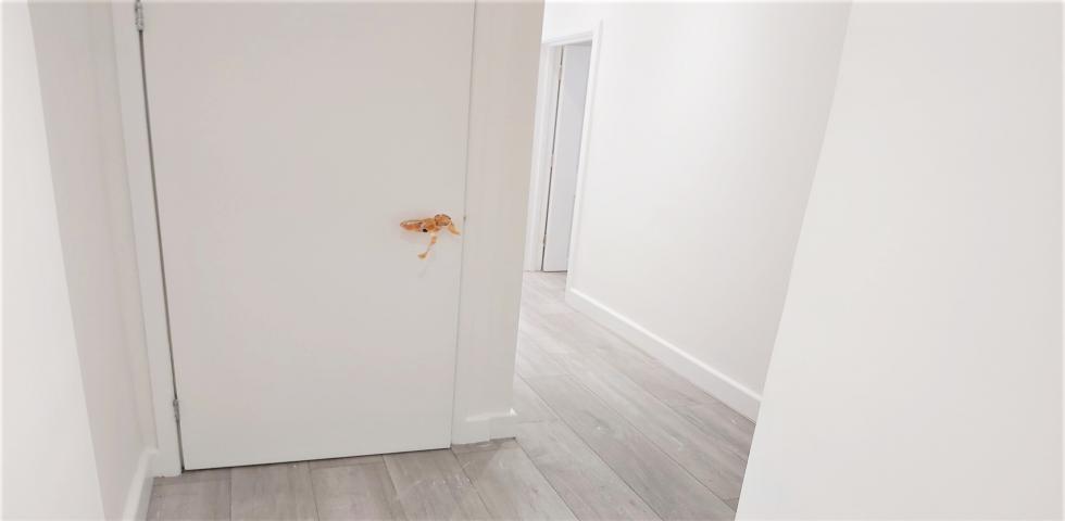 			NEWLY REFURBISHED, 2 Bedroom, 1 bath, 1 reception Apartment			 Deacon Road , DOLLIS HILL