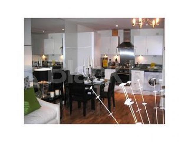			2 Bed, 2 Bath!!!, 2 Bedroom, 1 bath, 1 reception Serviced Apartments			 Meath Cresent, BETHNAL GREEN