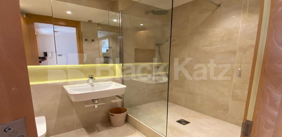 			LET , 1 Bedroom, 1 bath, 1 reception Apartment			 Parliament View, Lambeth Bridge, Waterloo