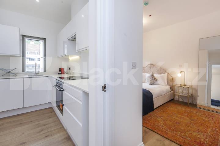 Modern One-Bedroom Flat with Excellent Transport Links Phoenix Road, Euston