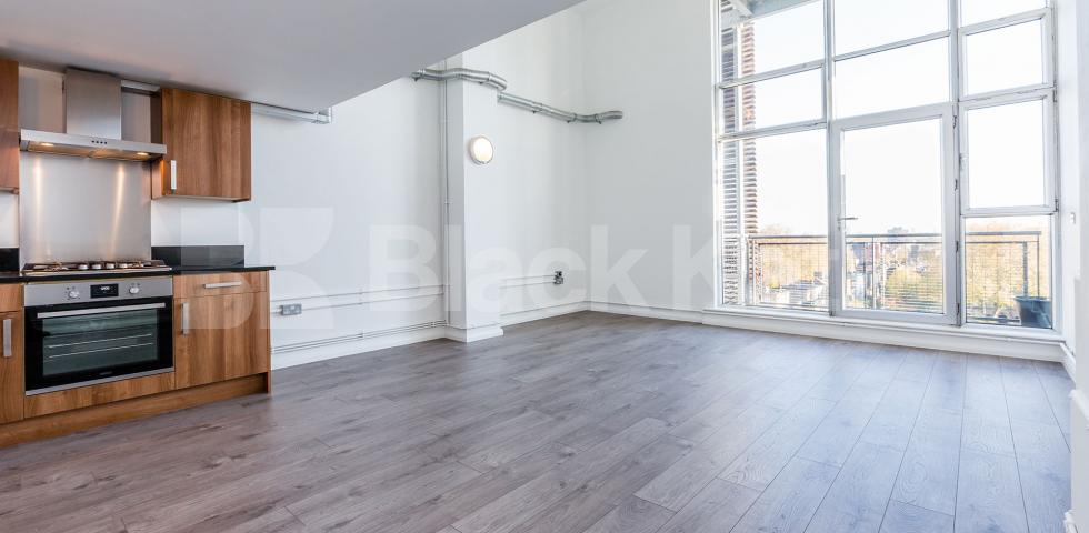			STUNNING LIVE WORK APARTMENT, 1 Bedroom, 1 bath, 1 reception Flat			 ABILITY PLAZA-KINGSLAND ROAD, DALSTON/HAGGERSTON