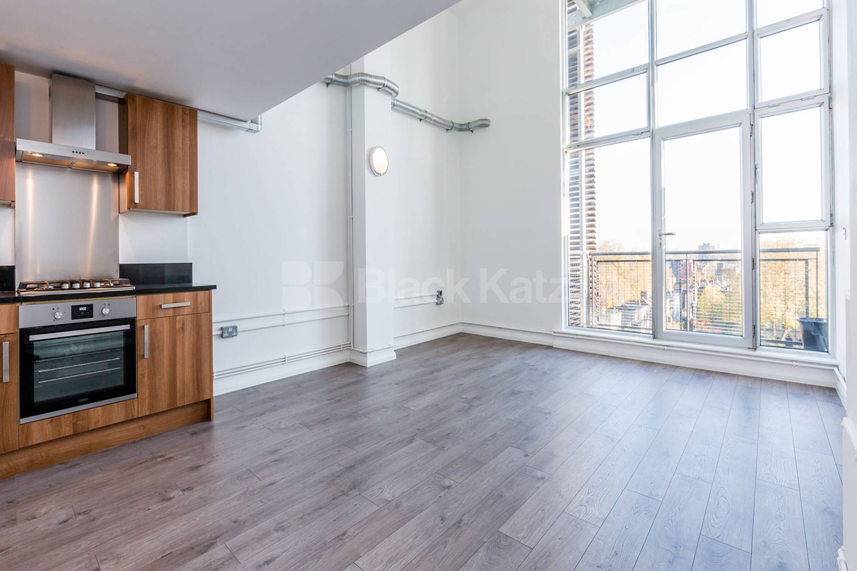 one bedroom in warehouse conversion with terrace and mezzanine  Ability Plaza, Dalston E8