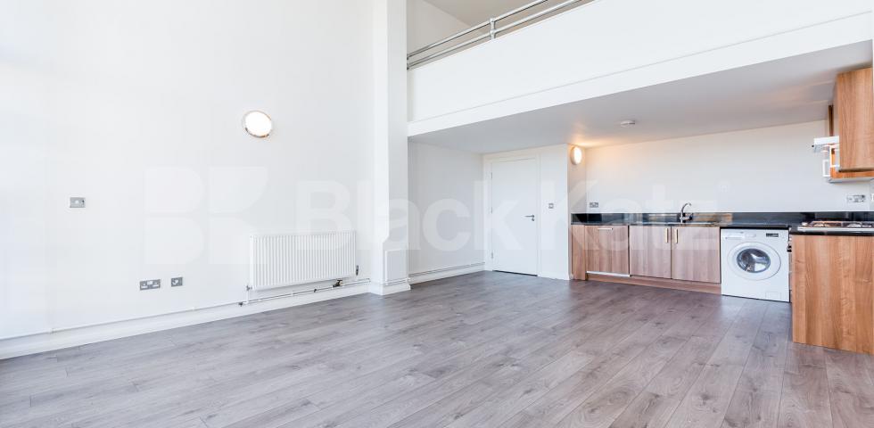 			STUNNING LIVE WORK APARTMENT, 1 Bedroom, 1 bath, 1 reception Flat			 ABILITY PLAZA-KINGSLAND ROAD, DALSTON/HAGGERSTON