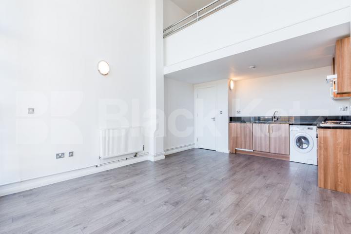 one bedroom in warehouse conversion with terrace and mezzanine  Ability Plaza, Dalston