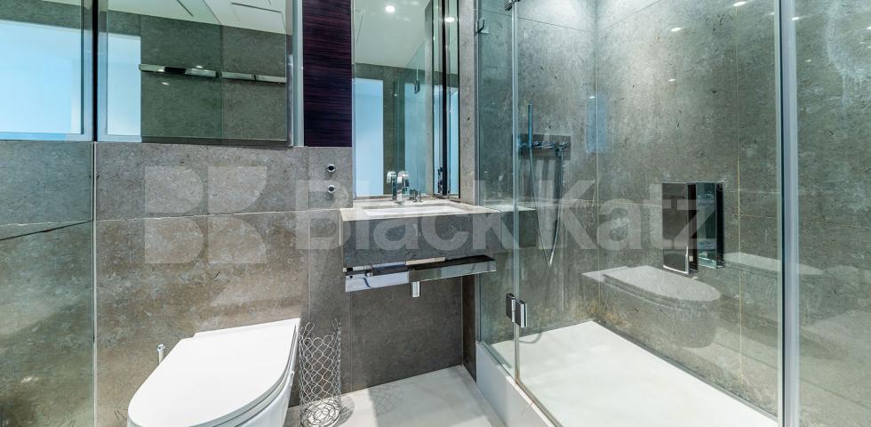 			NEW INSTRUCTION!, 2 Bedroom, 1 bath, 1 reception Apartment			 Pan Peninsula, CANARY WHARF/ ISLE OF DOGS