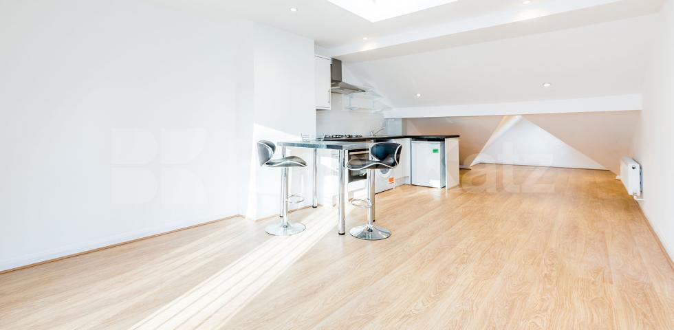 			Amazing Loft Apartment !, 1 Bedroom, 1 bath, 1 reception Flat			 Woodland Gardens , Muswell Hill 