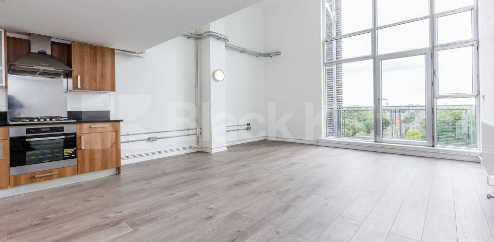 			STUNNING LIVE WORK APARTMENT, 1 Bedroom, 1 bath, 1 reception Flat			 ABILITY PLAZA-KINGSLAND ROAD, DALSTON/HAGGERSTON