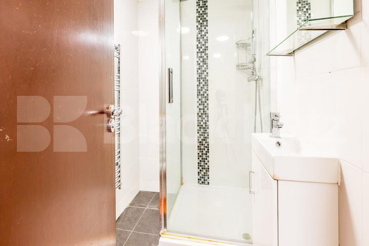 large self contained studio with outdoor space Springdale Road , Stoke Newington