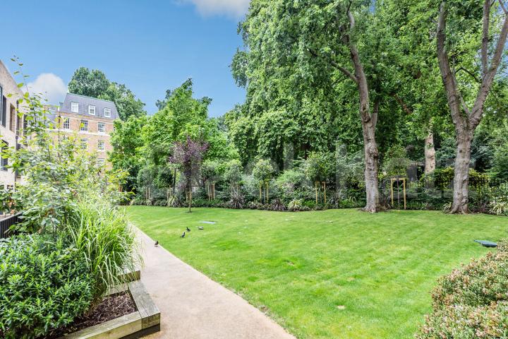 Gorgeous 3 bedroom 2 bathrooms in Bloomsbury   Westking Place, Bloomsbury