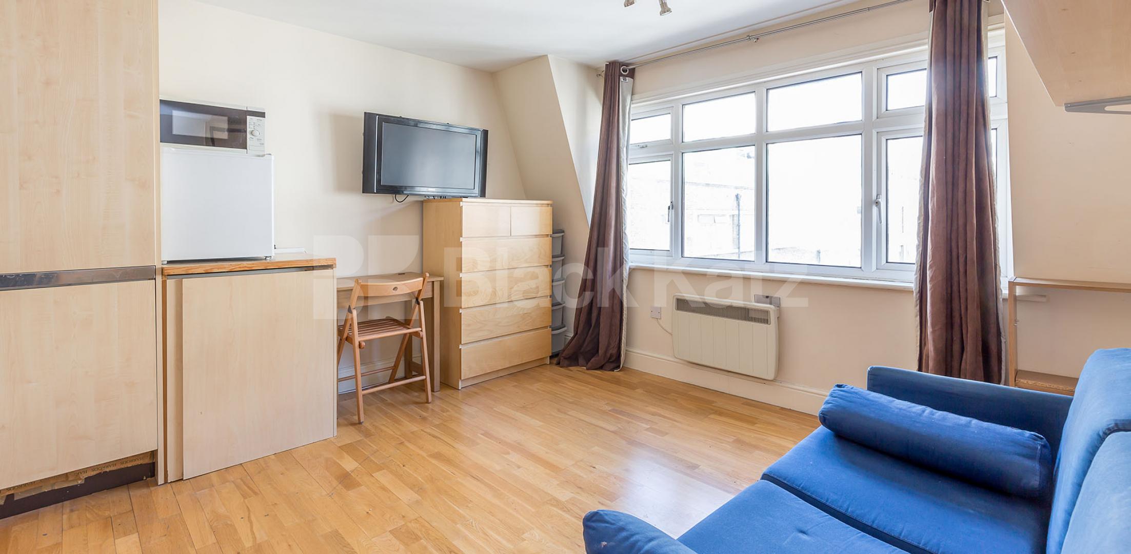 Gourmet and wellequipped kitche Studio Apartment, Furnished Flat in