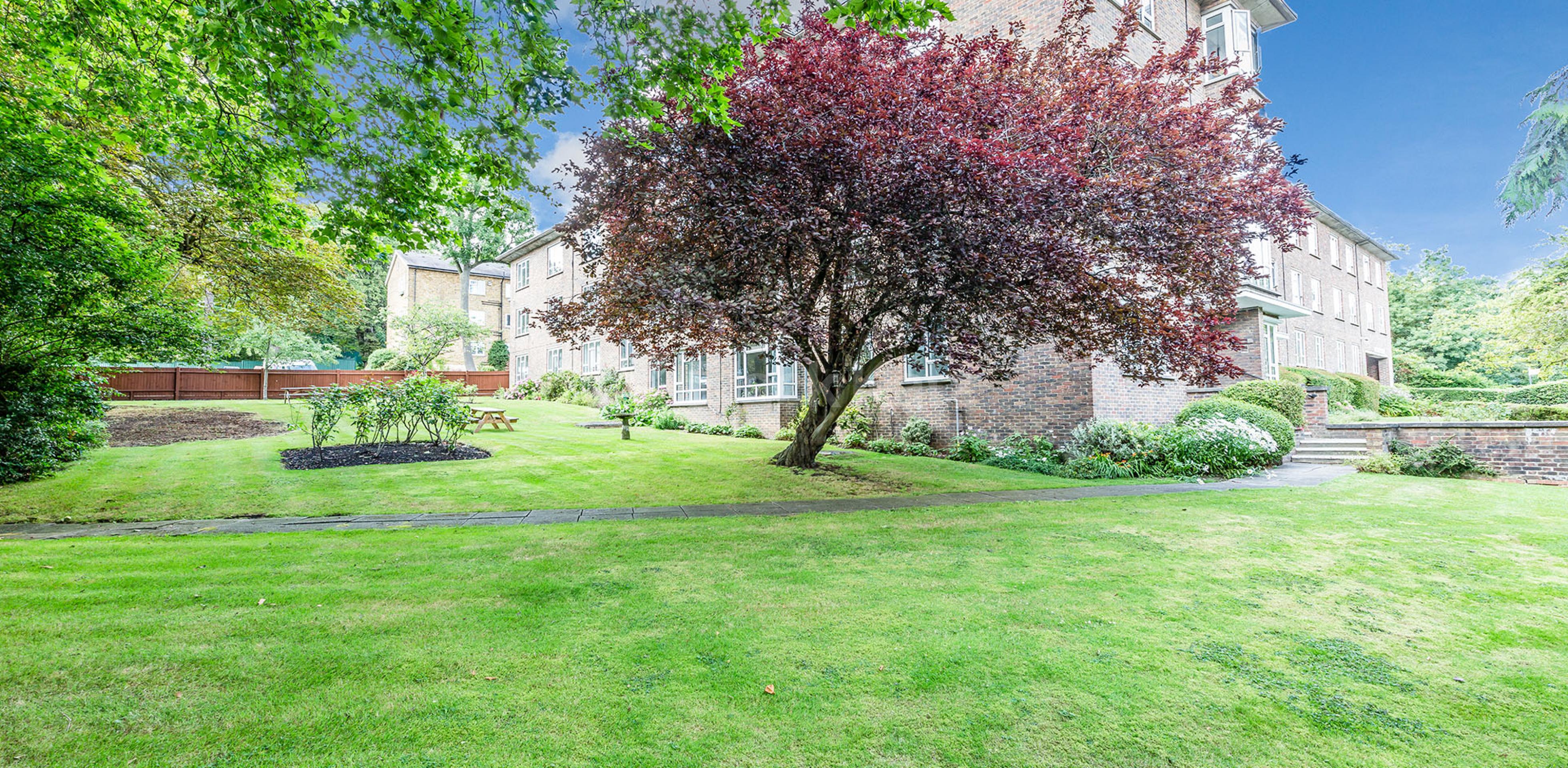 			2 Bedroom, 1 bath, 1 reception Apartment			 Muswell Hill, Alexandra Palace / Muswell hill N10