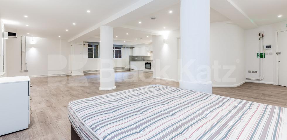 			STUNNING SPACIOUS STUDIO, Studio Apartment, 1 bath, 1 reception Flat			 SPRINFIELD HOUSE LOFTS-TYSSEN STREET, DALSTON-HAGGERSTON-SHOREDITCH