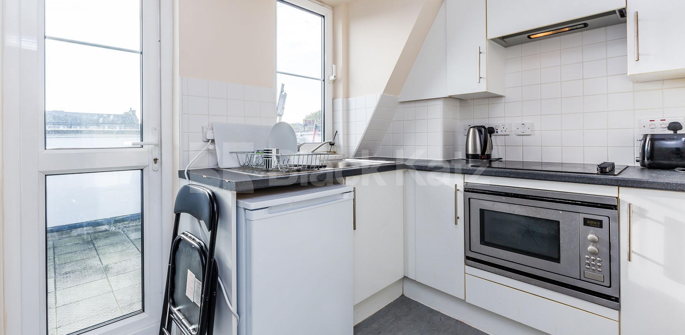 			SPACIOUS STUDIO WITH ROOF TERRACE, Studio Apartment, 1 bath, 1 reception Flat			 Chapel Market, ANGEL-ISLINGTON