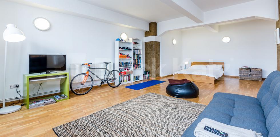 			STUNNING SPACIOUS STUDIO, Studio Apartment, 1 bath, 1 reception Flat			 ABILITY VIEW-KINGSLAND ROAD E2, DALSTON-HAGGERSTON