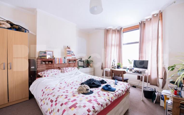 Generous period house with beautiful garden  Ada Road , Peckham 