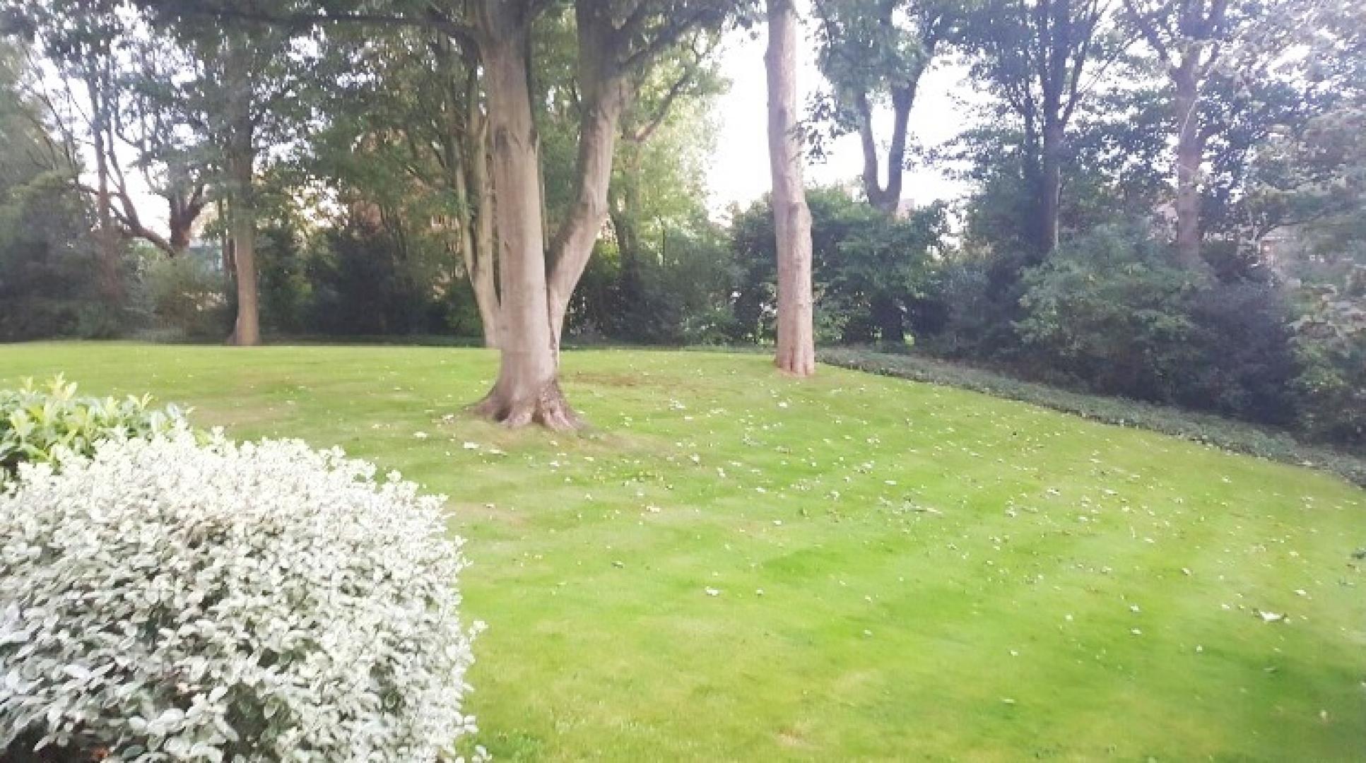 			NEW INSTRUCTION , 3 Bedroom, 1 bath, 1 reception Apartment			 Oak Hill Park, HAMPSTEAD VILLAGE 