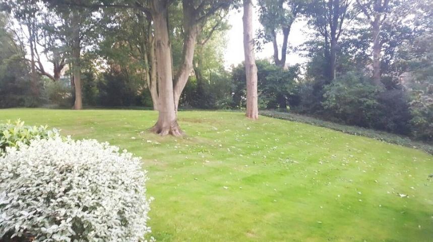 			NEW INSTRUCTION , 3 Bedroom, 1 bath, 1 reception Apartment			 Oak Hill Park, HAMPSTEAD VILLAGE 