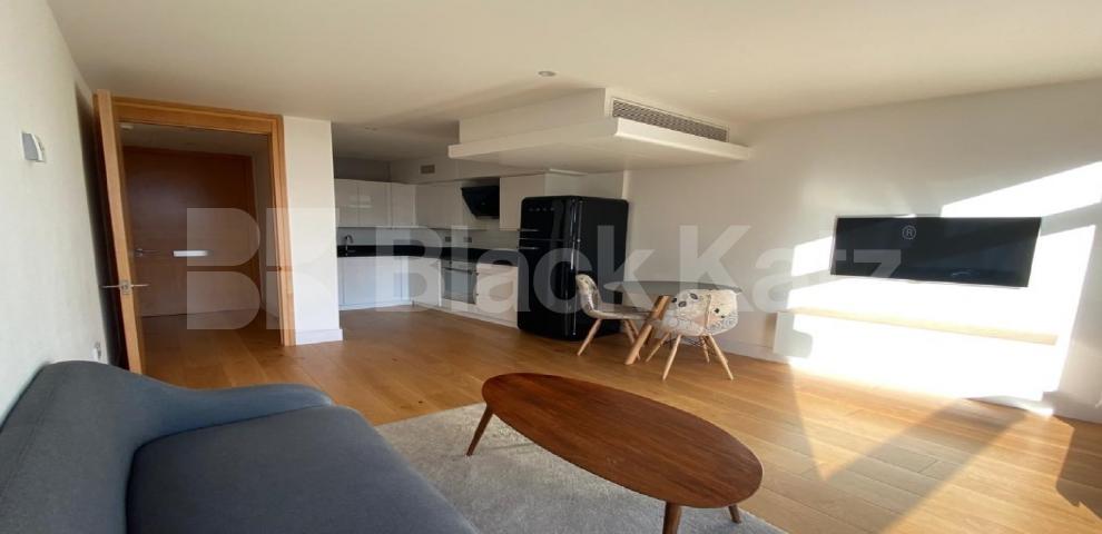 			LET , 1 Bedroom, 1 bath, 1 reception Apartment			 Parliament View, Lambeth Bridge, Waterloo