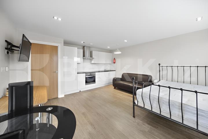 Modern Studio Apartment Moments from Old Street Station Mintern Street, Shoreditch Park