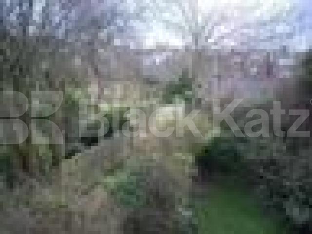 			2 Bedroom, 1 bath, 1 reception Semi-Detached House			 Kings avenue, Muswell hill