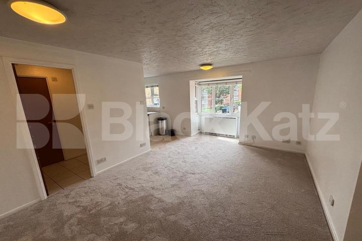 Generous bright & airy double studio Lewis Court Stubbs Drive, Bermondsey