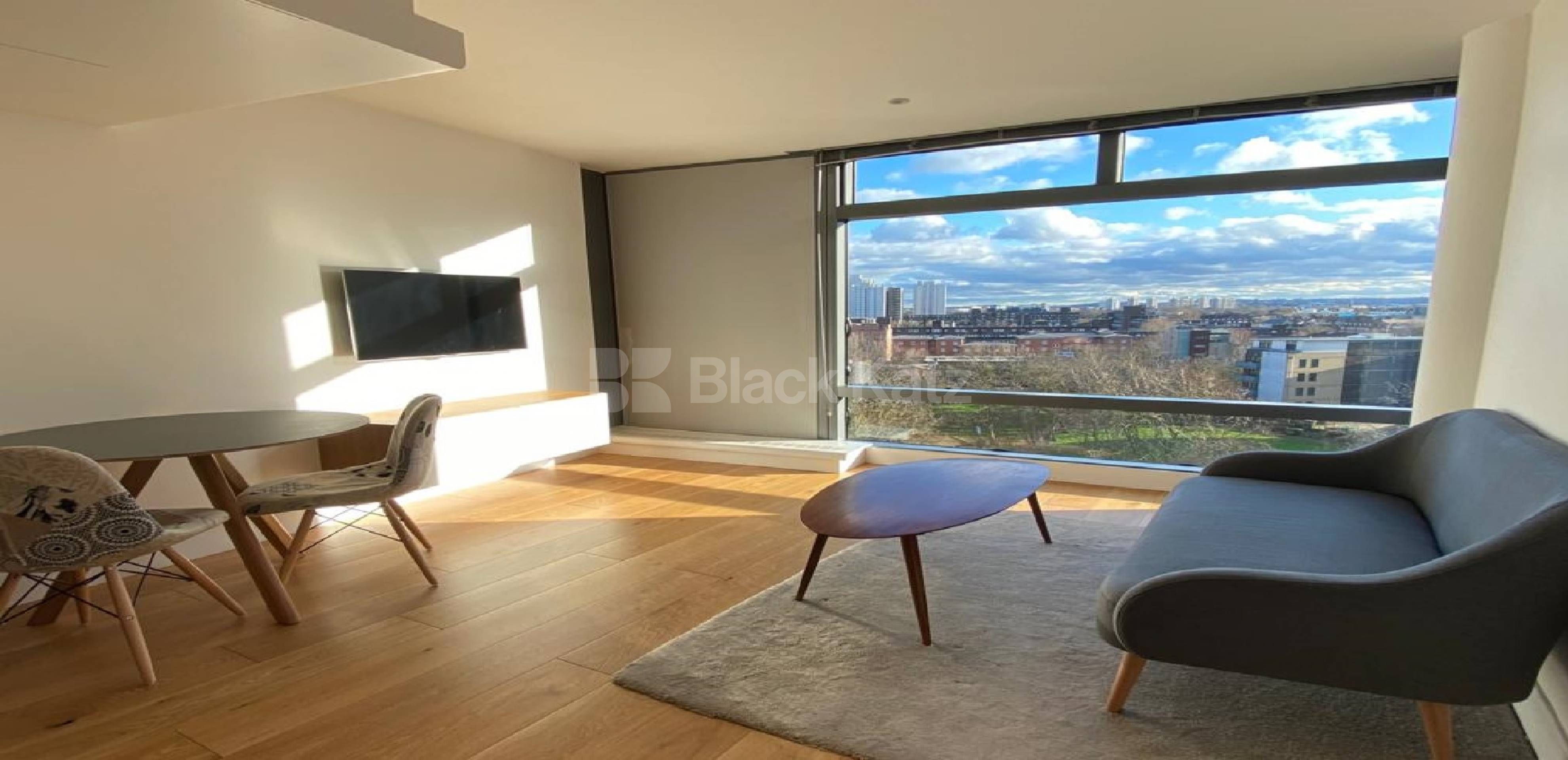 			LET , 1 Bedroom, 1 bath, 1 reception Apartment			 Parliament View, Lambeth Bridge, Waterloo SE1