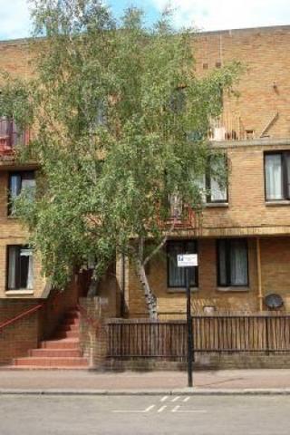 			New Instruciton, 1 Bedroom, 1 bath, 1 reception Flat			 Tavistock Crescent, WESTBOURNE PARK