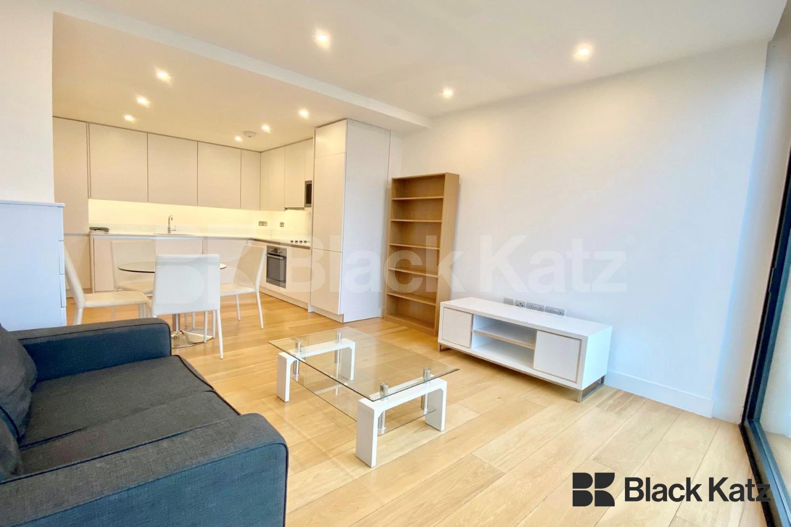 Modern apartment with private terrace Plumbers Row, Spitafields