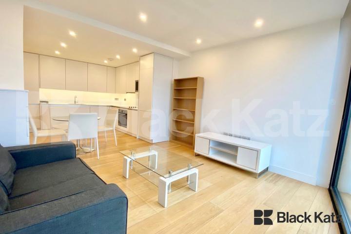 Modern apartment with private terrace Plumbers Row, Spitafields