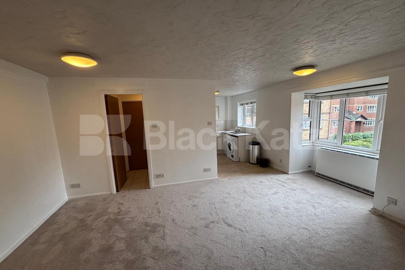 Generous bright & airy double studio Lewis Court Stubbs Drive, Bermondsey