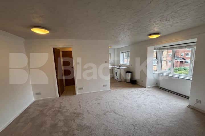 Generous bright & airy double studio Lewis Court Stubbs Drive, Bermondsey