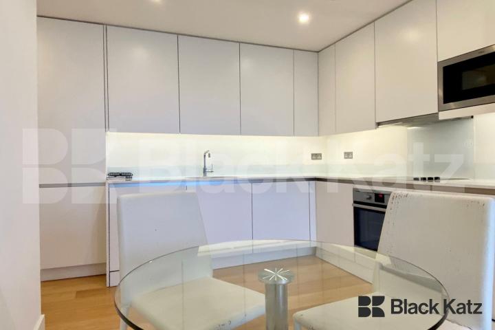 Modern apartment with private terrace Plumbers Row, Spitafields