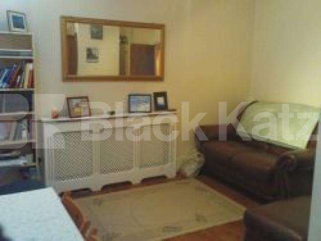 			LOCATION LOCATION LOCATION !!!, 1 Bedroom, 1 bath, 1 reception Flat			 Burton Street, RUSSELL SQUARE