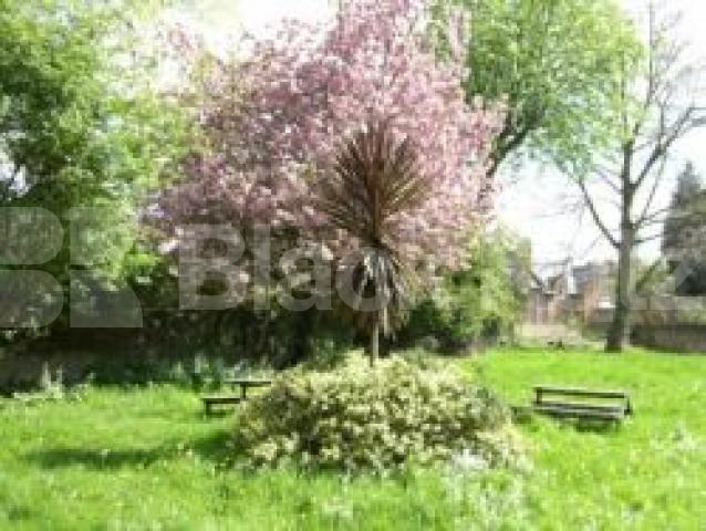 			Studio Apartment, 1 bath, 1 reception Studio			 Winchester Place, HIGHGATE N6