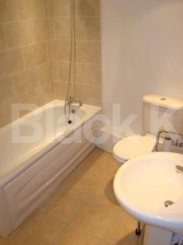 			NEW INSTRUCTION, Studio Apartment, 1 bath, 1 reception Flat			 Caledonian Road, Kings Cross