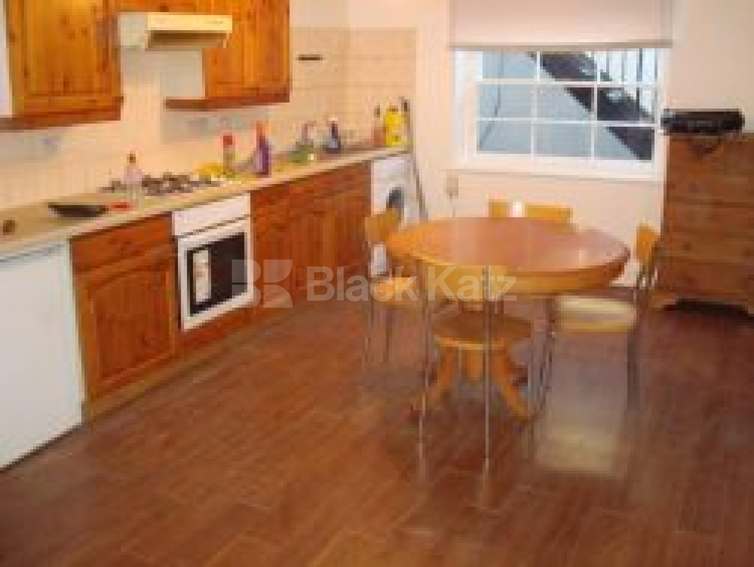 			NEW INSTRUCTION, Studio Apartment, 1 bath, 1 reception Flat			 Caledonian Road, Kings Cross N1