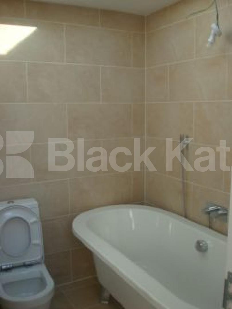 			New Instruction, 3 Bedroom, 1 bath, 1 reception Flat			 Regina Road, FINSBURY PARK