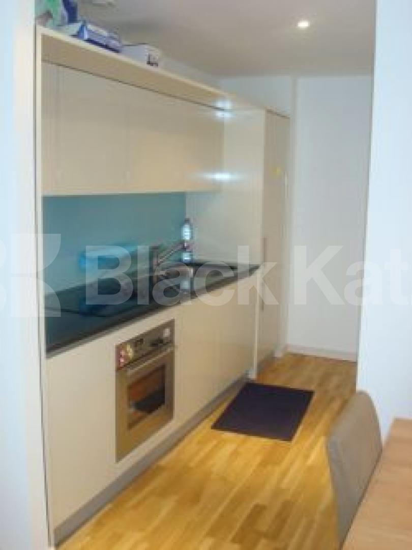 			New Instruction, 1 Bedroom, 1 bath, 1 reception Flat			 Provost Street, Islington