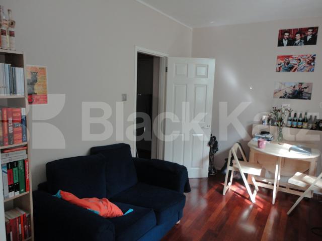 			NEW INSTRUCTION!, 1 Bedroom, 1 bath, 1 reception Flat			 Loxham Street, RUSSELL SQUARE