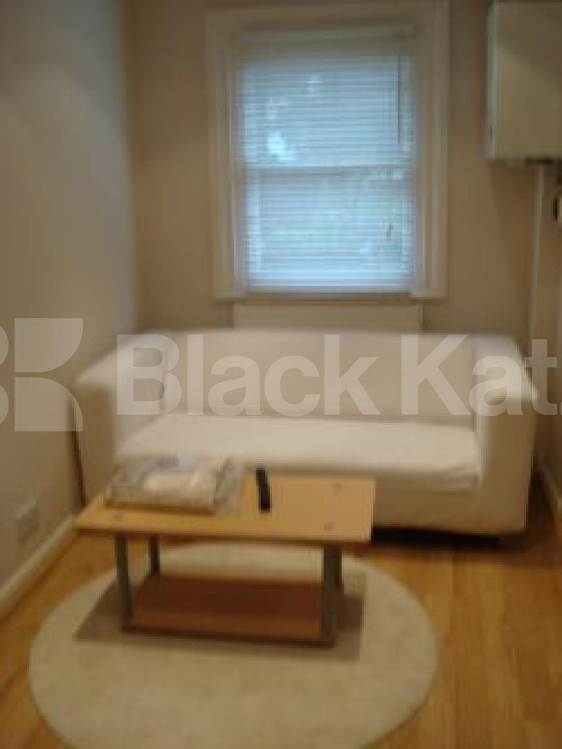 			GARDEN FLAT, 1 Bedroom, 1 bath, 1 reception Flat			 Buckingham Road, Islington