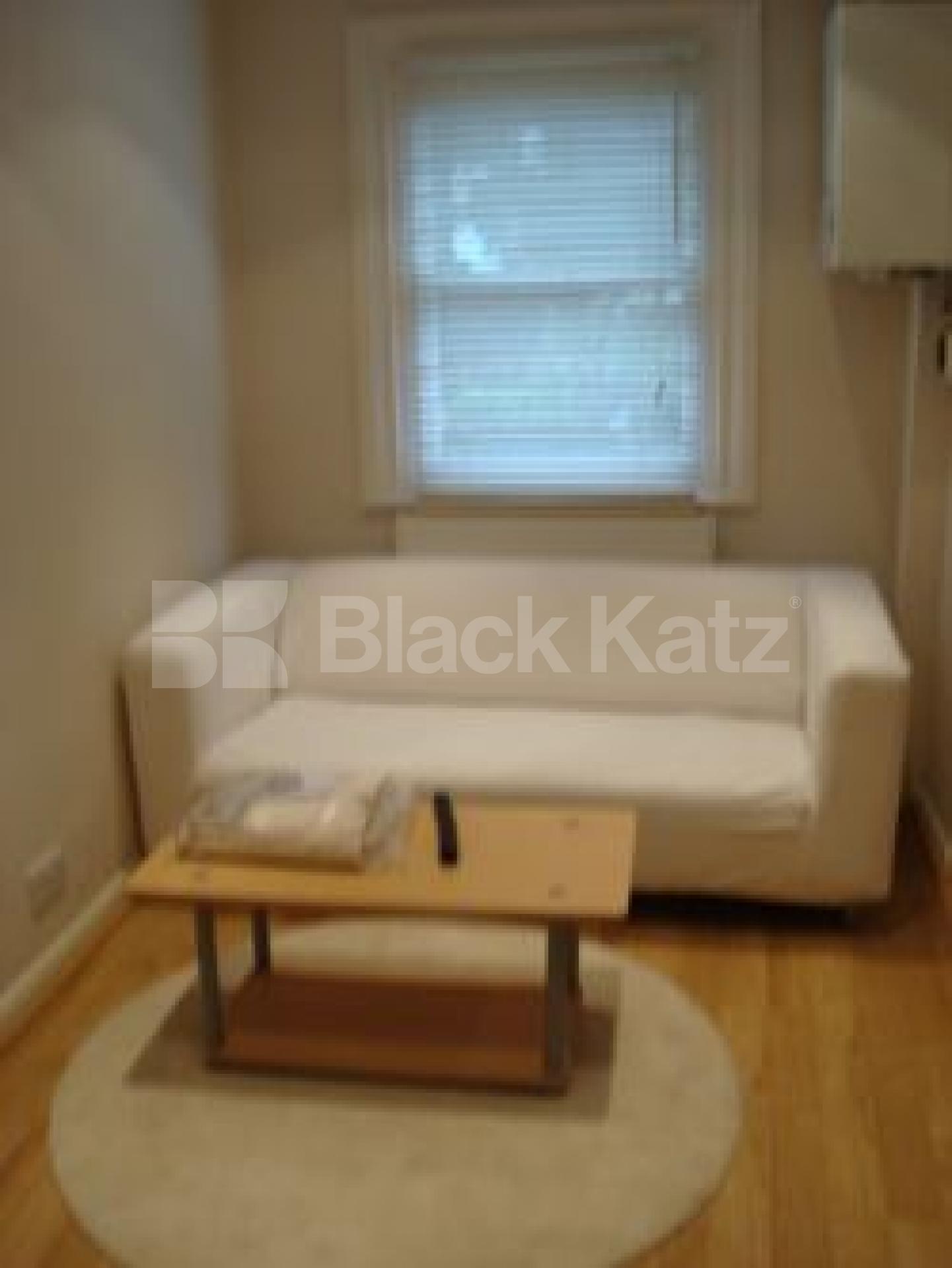 			GARDEN FLAT, 1 Bedroom, 1 bath, 1 reception Flat			 Buckingham Road, Islington N1
