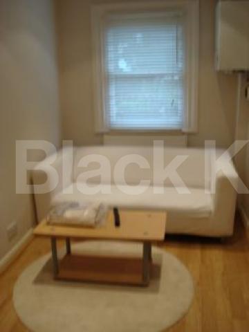 			GARDEN FLAT, 1 Bedroom, 1 bath, 1 reception Flat			 Buckingham Road, Islington
